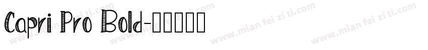 Capri Pro Bold字体转换